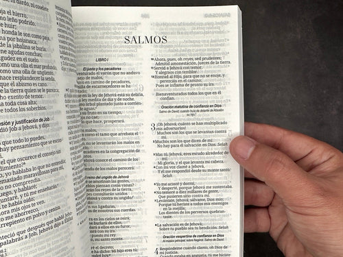 Biblia Economica RVR 1960 rosa