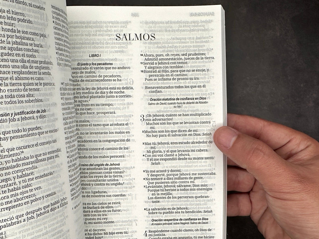 Biblia económicas RVR 1960 león