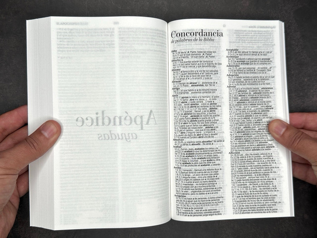 Biblia RVR 1960 económica