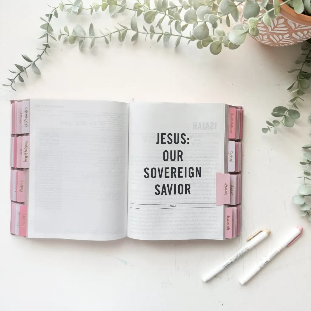 The Jesus Bible with pre-installed tabs, in pink.